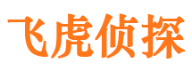 清新市私人侦探